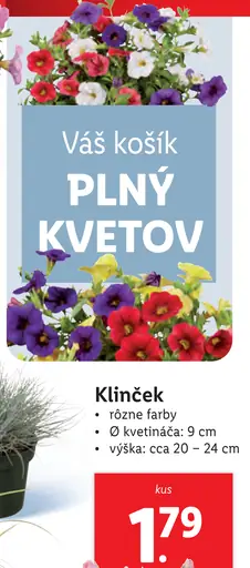 Klinček