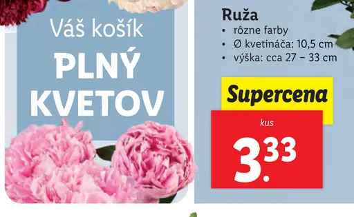 Ruža