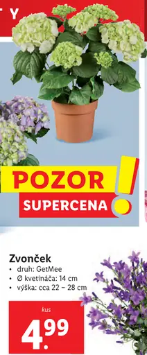Zvonček GetMee