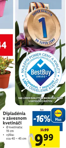 Dipladénia v závesnom kvetináči