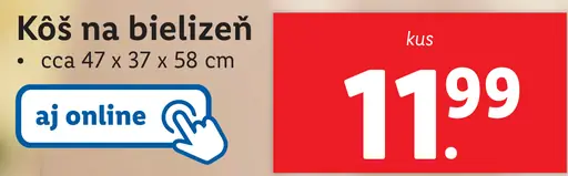 Kôš na bielizeň
