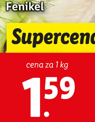 Fenikel