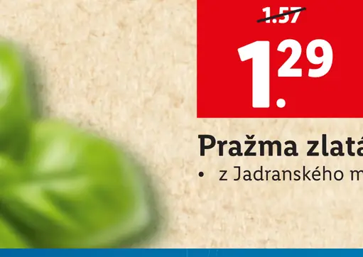 Pražma zlatá