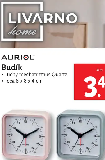 Auriol Budík