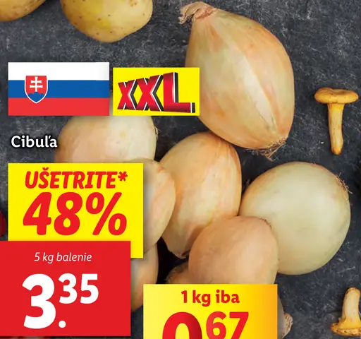 Cibuľa