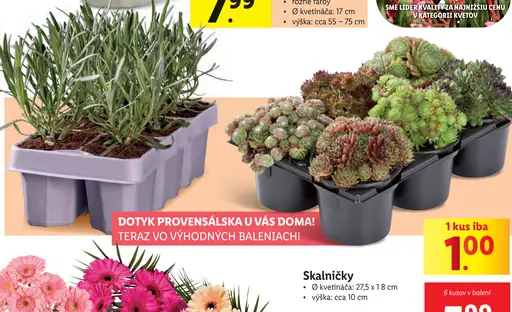 Skalničky
