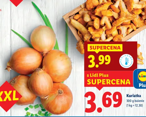 Cibuľa