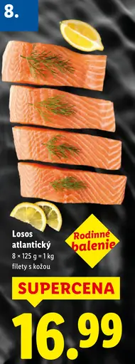 Losos atlantický