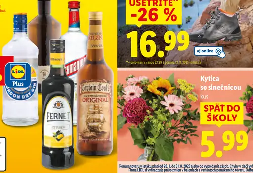 Kytica so slnečnicou