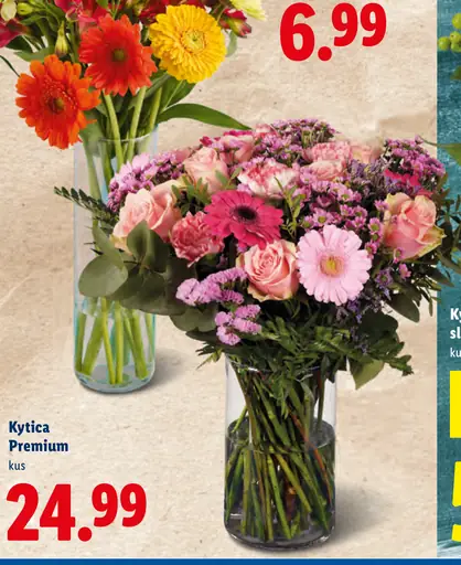 Kytica Premium