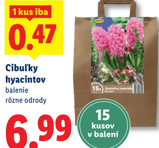 Cibuľky hyacintov