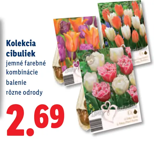 Kolekcia cibuľiek
