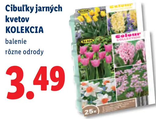 Cibulky jarných kvetov