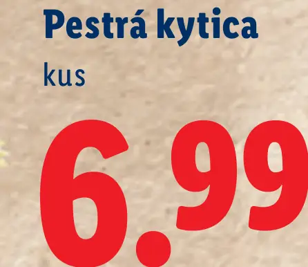 Pestrá kytička