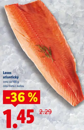 Losos atlantický