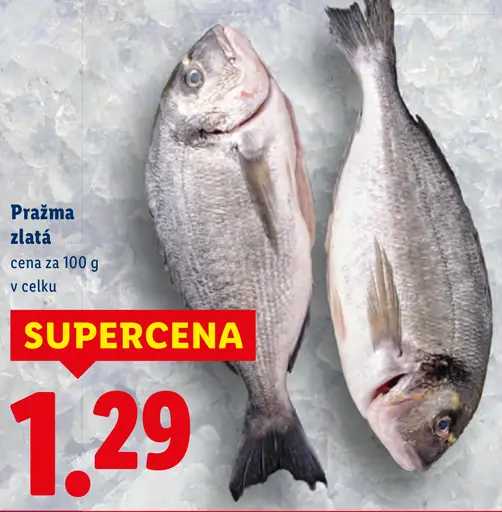 Pražma zlatá