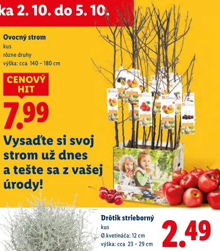 Ovocný strom