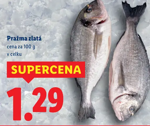 Pražma zlatá