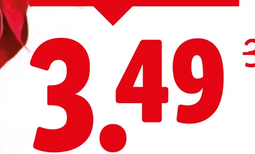 Vianočná ruža červená