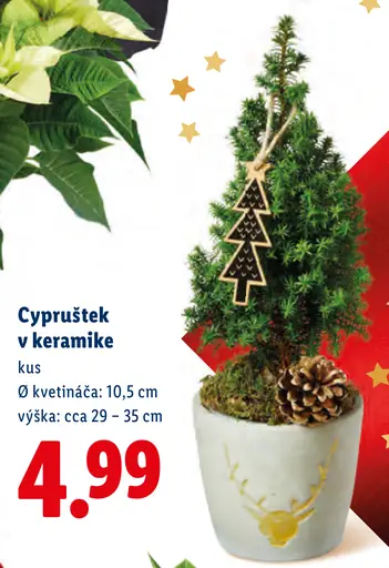 Cyprušteky v keramike