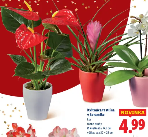 Kvitnúca rastlina v keramike