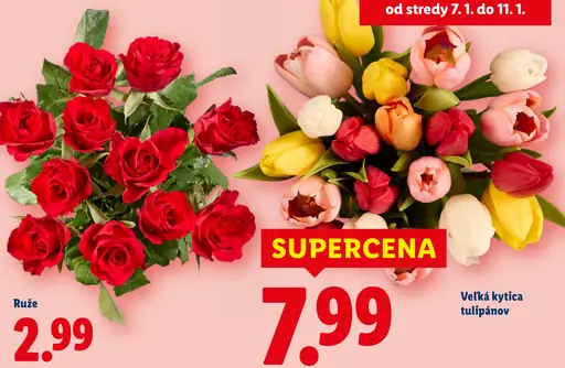 Veľká kytica tulipánov – veľká kytica rezaných tulipánov