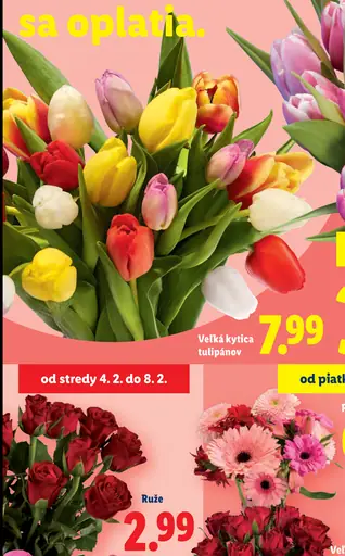Veľká kytica tulipánov