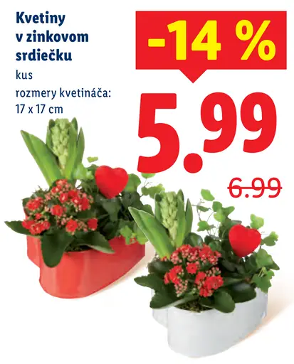 Kvety v zinkovom srdiečku