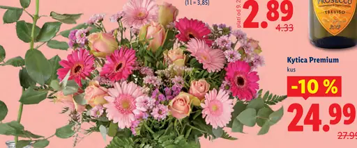 Kytica Premium