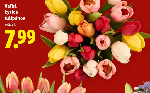 Veľká kytica tulipánov