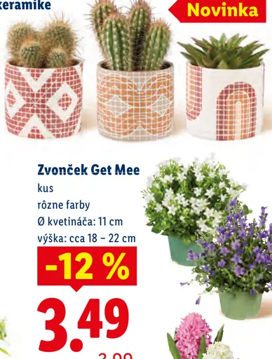 Kaktus/sukulent v keramike