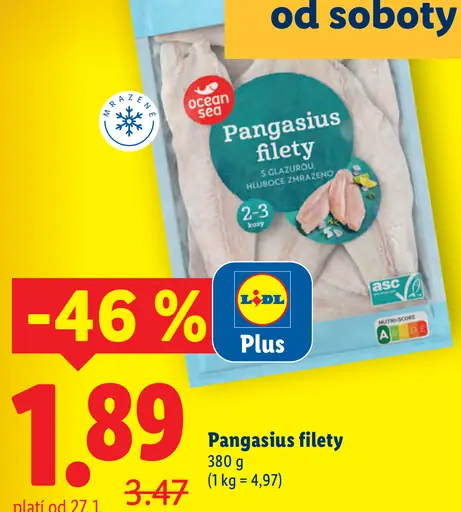 Ocean Sea Pangasius filety