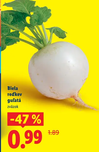 Biela reďkev guľatá zväzok