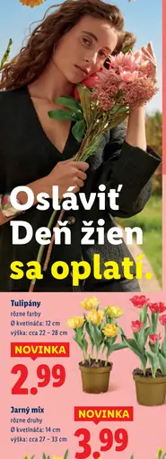 Tulipány rôzne farby