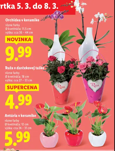 Ruže v darčekovej taške