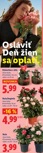 Ruže s trblietkami v kvetináči