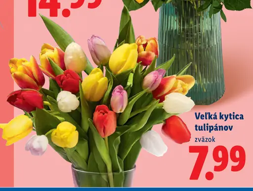 Lidl veľká kytica tulipánov zväzok