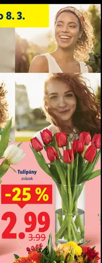 Lidl tulipány zväzok