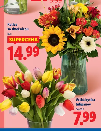 Lidl kytica so slnečnicou