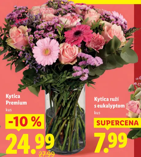 Kytica Premium