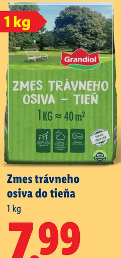Grandiol zmes trávneho osiva do tieňa