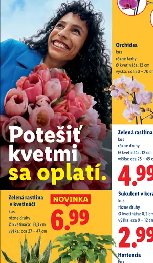 Zelená rastlina v prírodnom kvetináči