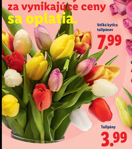 Veľká kytica tulipánov