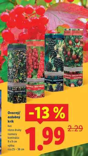 Ovocný / ozdobný krík