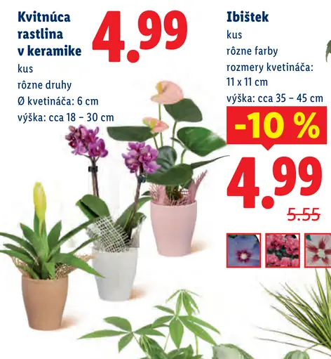 Kvitnúca rastlina v keramike