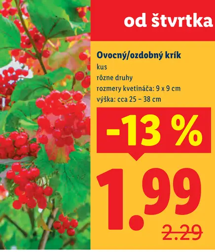 Ovocný/okrasný krík