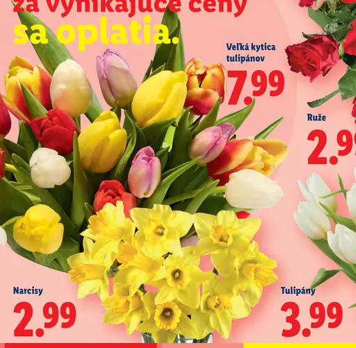 Veľká kytica tulipánov
