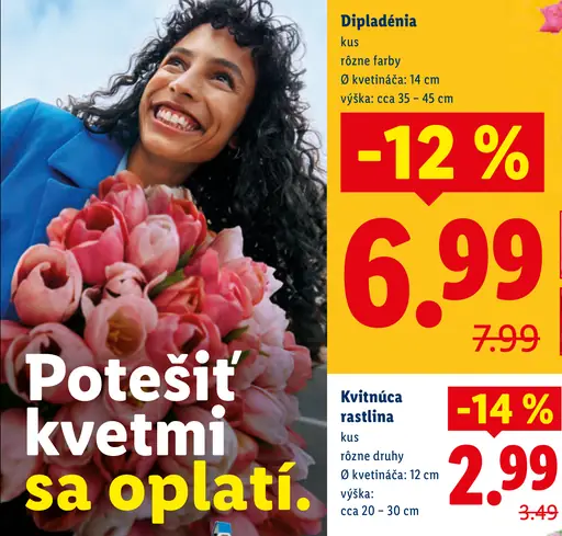 Dipladénia kvitnúca rastlina v kvetináči