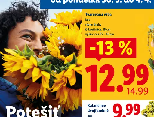 Tvarovaná vŕba v kvetináči