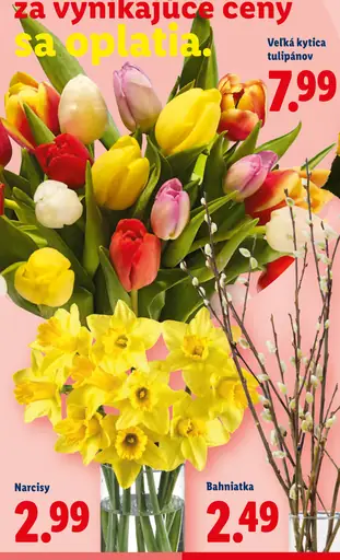 Veľká kytica tulipánov